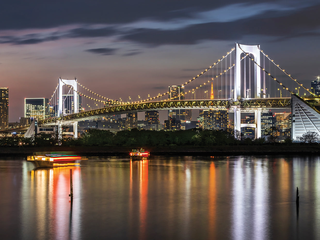 Melanie Viola Fotodesign's Gorgeous Rainbow Bridge And Tokyo Skyline At 