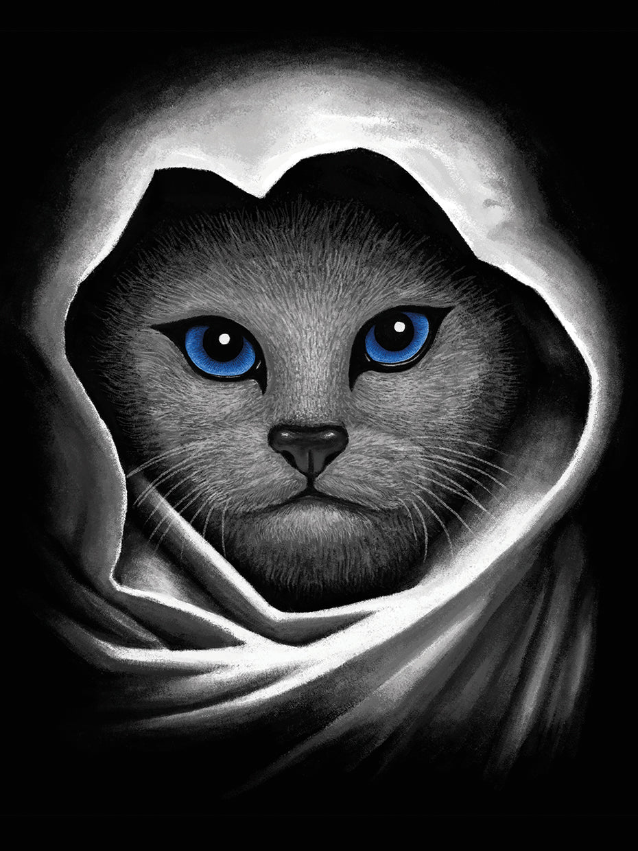 Tummeows Blue Eyes Cat Canvas Art Prints Fine Art Canvas 8782