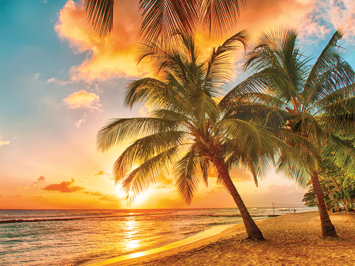 Barbados Beach Sunset By Dp Gallery