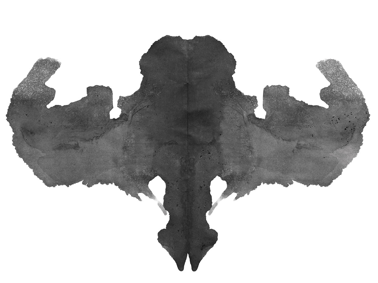 DP Gallery s Photo Rorschach inkblot test Canvas Art Prints Fine