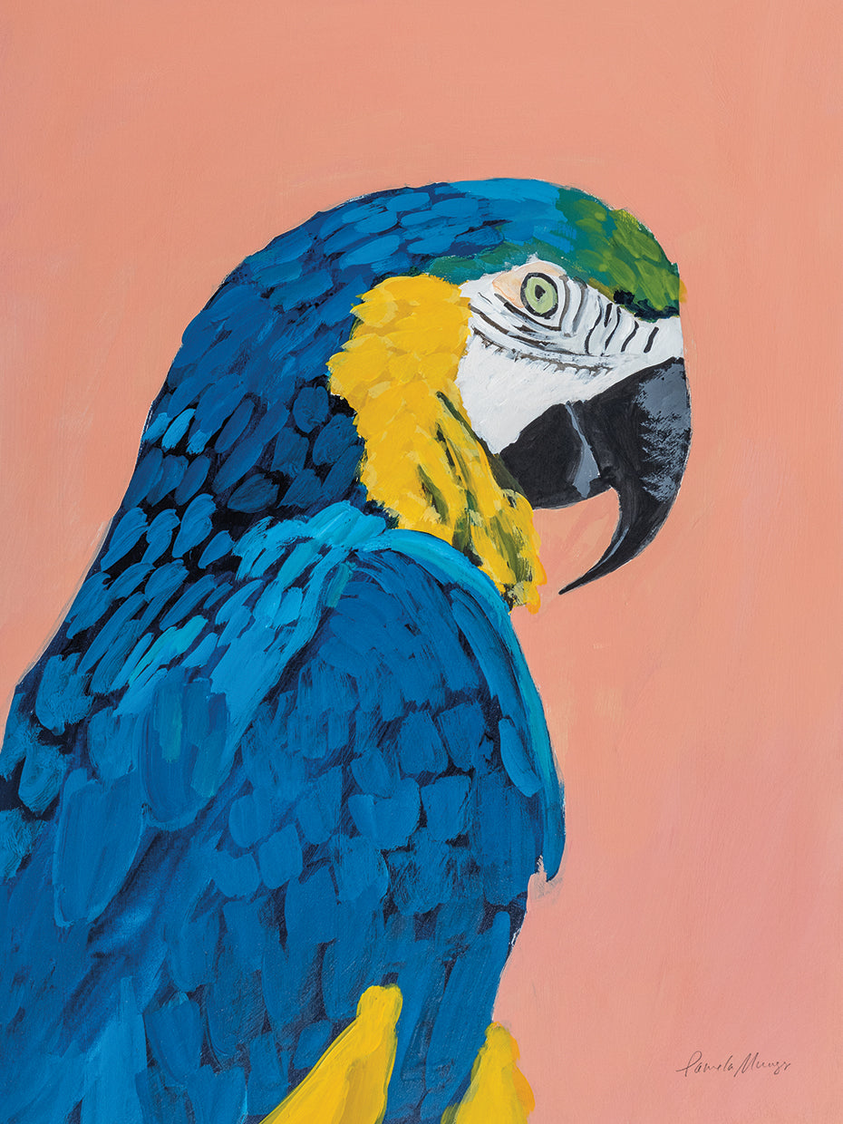 ARTCANVAS Macaw Modern offers Home Decor Canvas Art Print