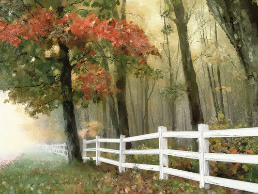 White Fence in Fall