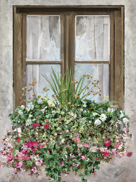 Window Box II