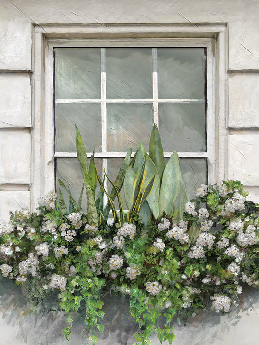 Window Box IV