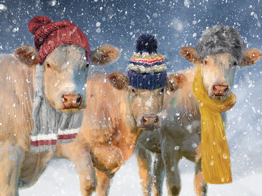 Winter Cows