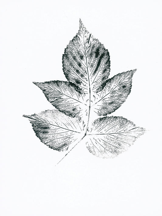 LEAVES VI