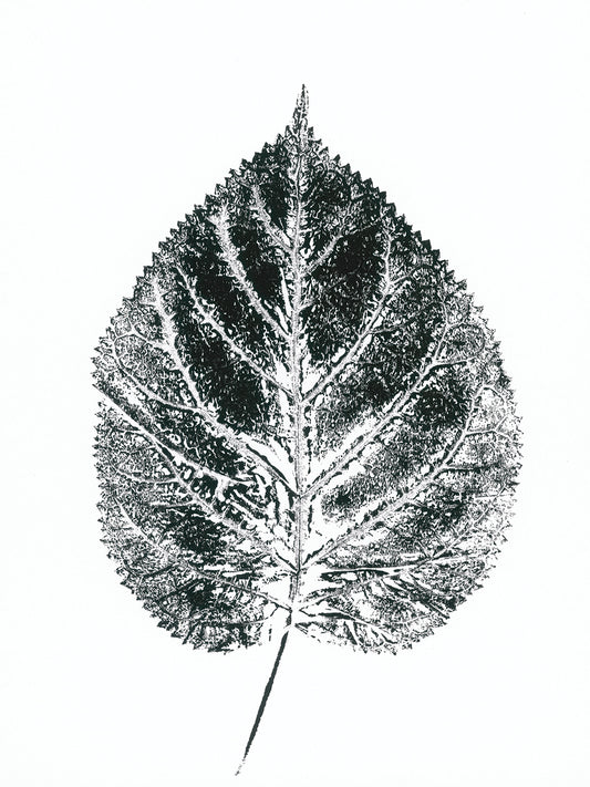 SINGLE LEAF III