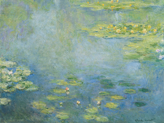 Waterlilies