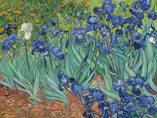 Irises 1889