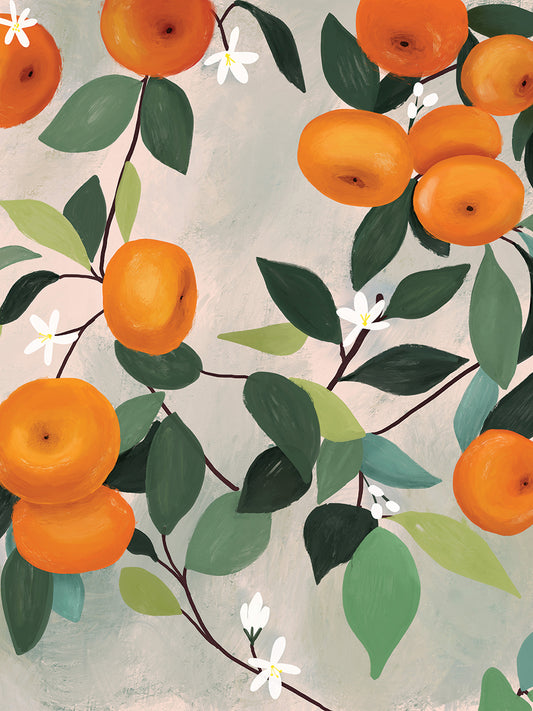 Sun-Kissed Oranges