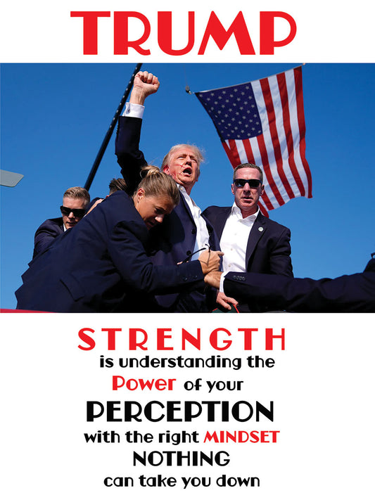 Donald Trump Poster 2024 Strength