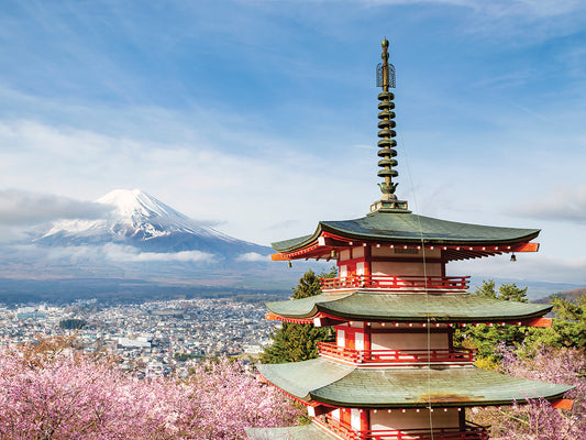 Magnificent view of Mount Fuji with Chureito Pagoda during cherry blossom season