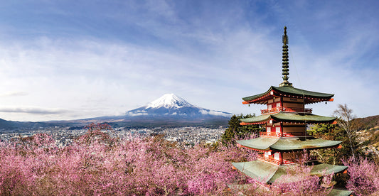 Magnificent panoramic view of Mount Fuji with Chureito Pagoda during cherry blossom