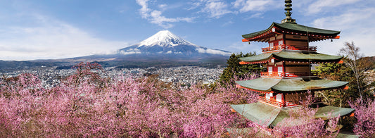 Unique panoramic view of Mount Fuji with Chureito Pagoda during cherry blossom