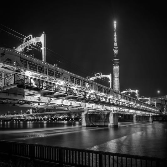 Illuminated Tokyo Skytree with Sumida River Walk | monochrome