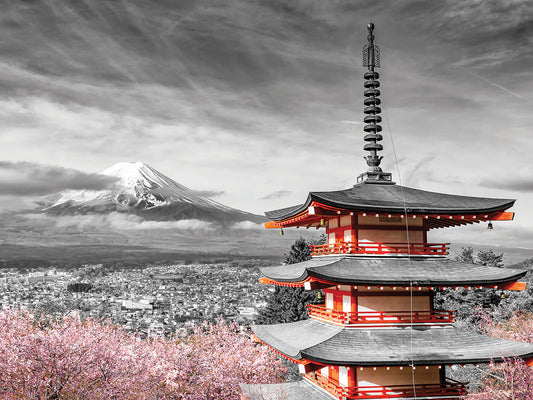 View of Mount Fuji with Pagoda during cherry blossom | colorkey