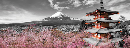 Idyllic panoramic view of Mount Fuji with Pagoda and Cherry Trees| colorkey