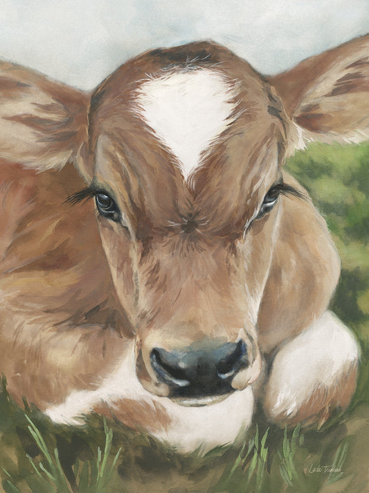 Gentle Calf Face