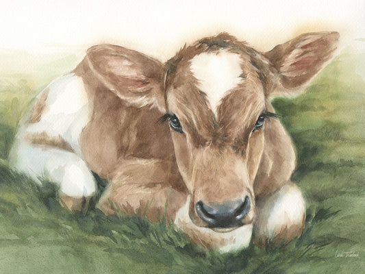 Gentle Calf