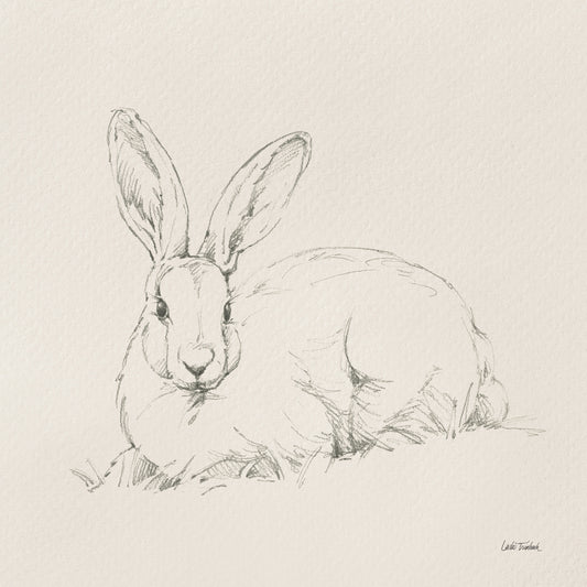 Graceful Rabbit II