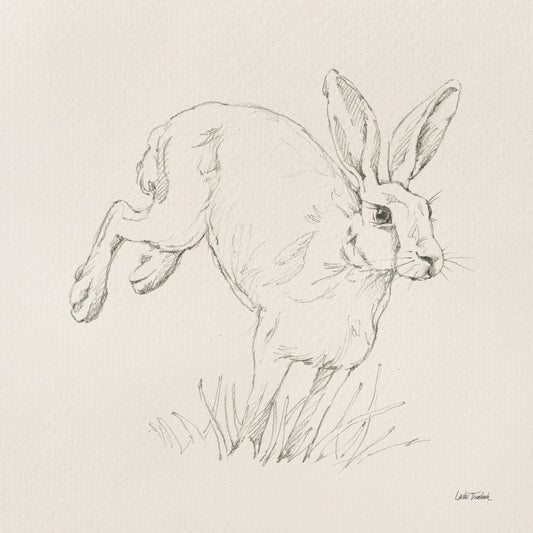 Graceful Rabbit I