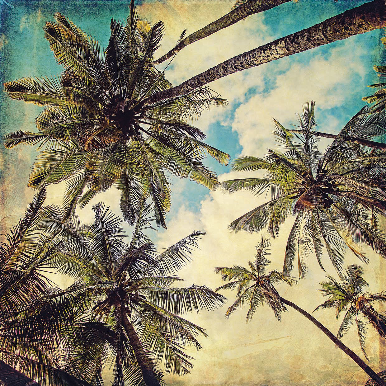 Kauai Island Palms by Melanie Alexandra Price | FineArtCanvas.com ...