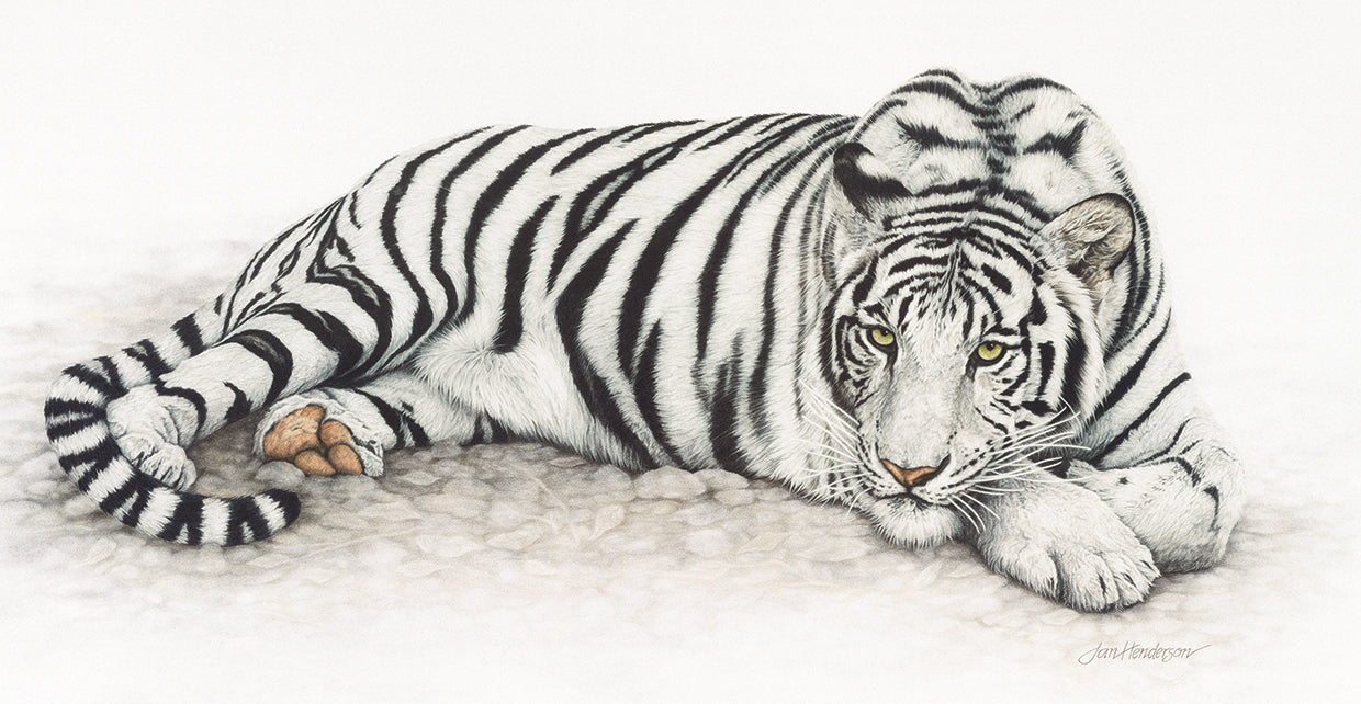 Jan Henderson's Siberian Tiger Canvas Art Prints | Fine Art Canvas ...