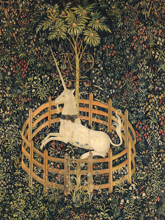 The Unicorn in Captivity