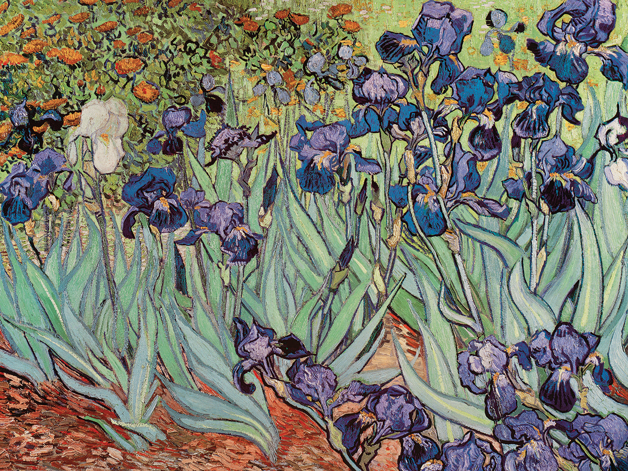 The Iris, 1889 Canvas Print – Fineartcanvas.com