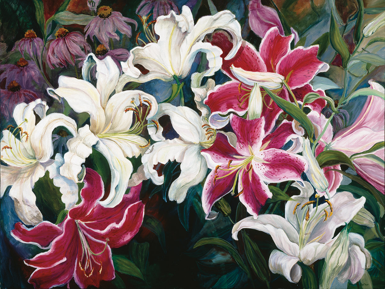 Field Of White And Pink Lilies by Joanne Porter | FineArtCanvas.com ...