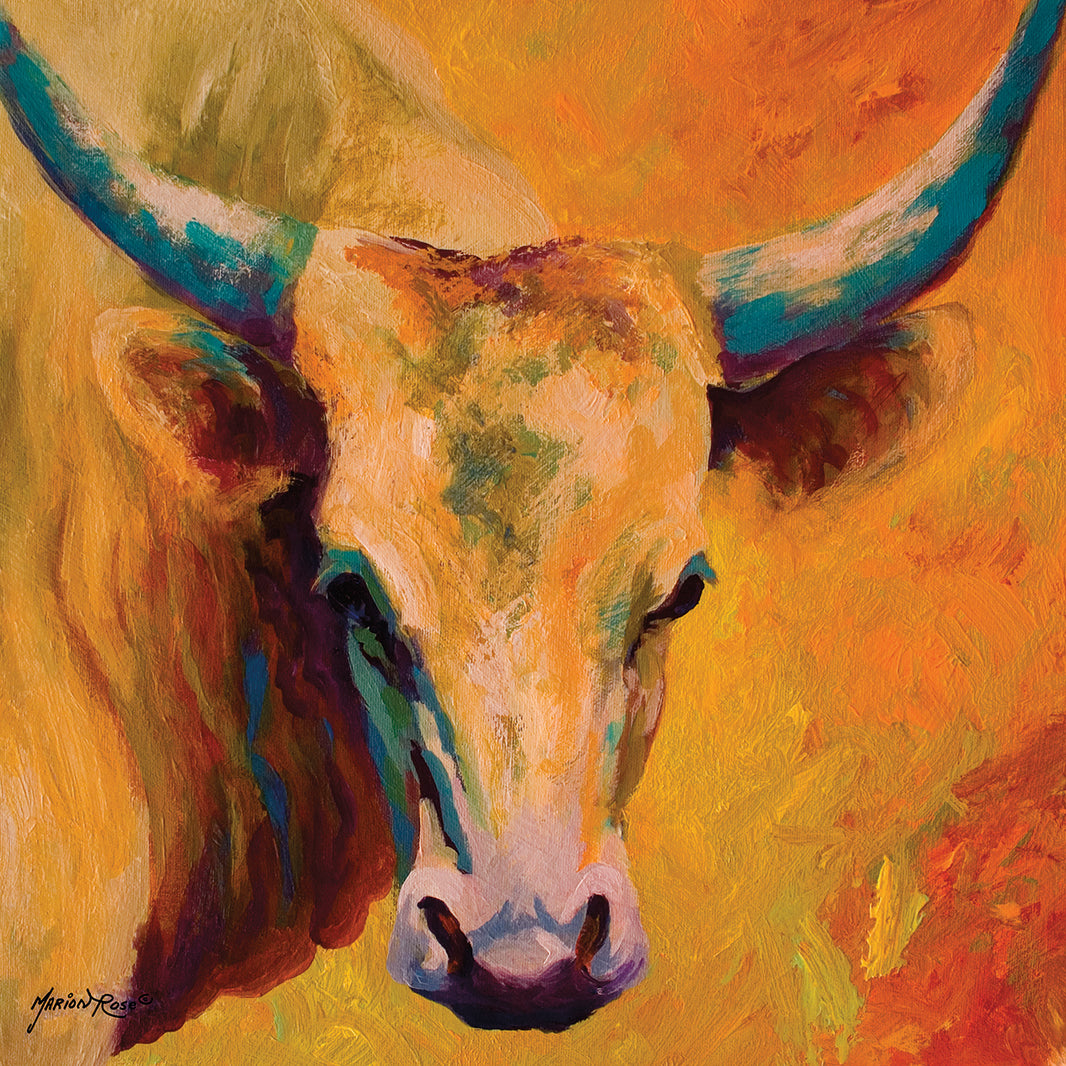 Marion Rose's Steer Canvas Art Prints | Fine Art Canvas – Fineartcanvas.com