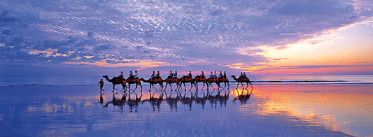 Cable Beach Camels