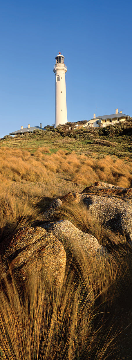 Point Hicks Vert