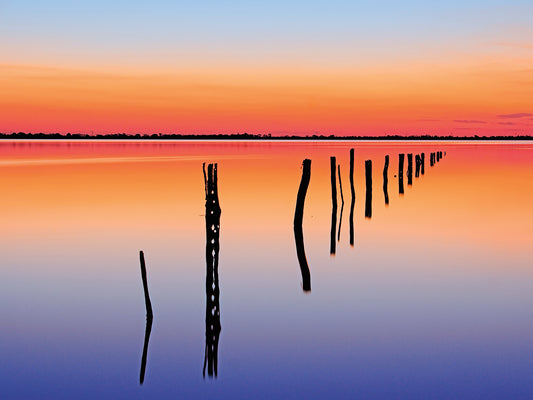 Vanishing Fence Line