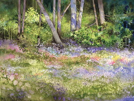 Springtime Woods