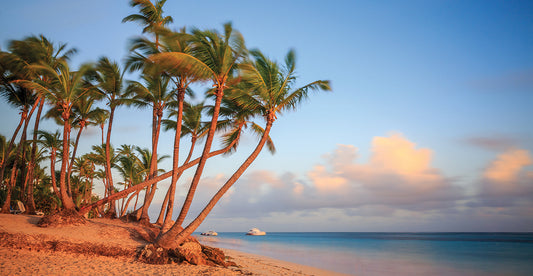 Dawn in Punta Cana