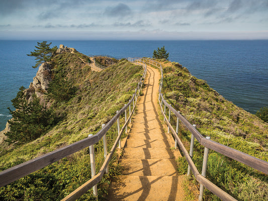 Path To Muir Beach