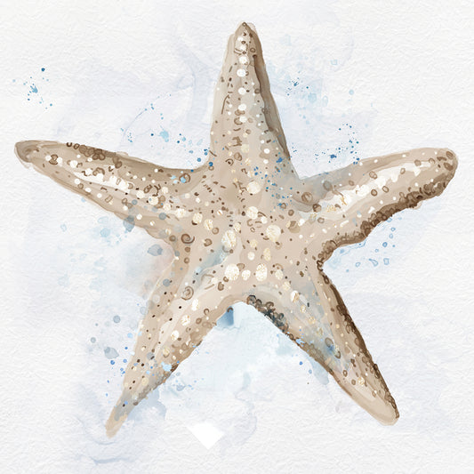 Starfish in beige