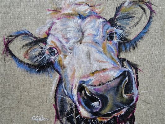 Albert cow