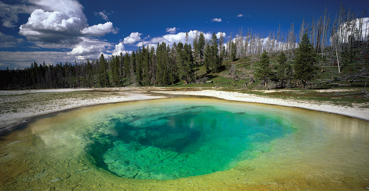 Panoramic Images's Teal Springs Yellowstone Canvas Art Prints | Fine ...