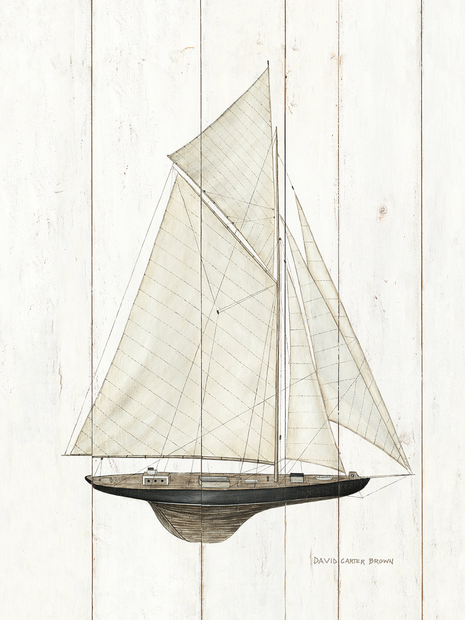 david carter brown sailboat