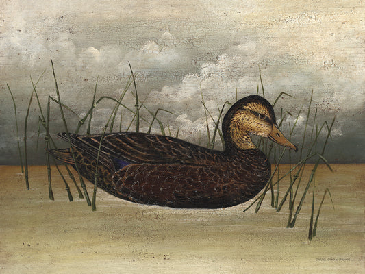 Black Duck