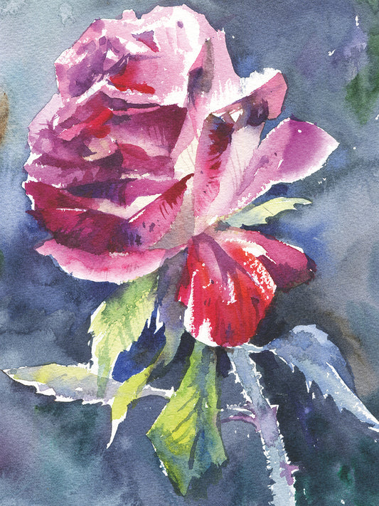 Watercolor Red Rose Floral