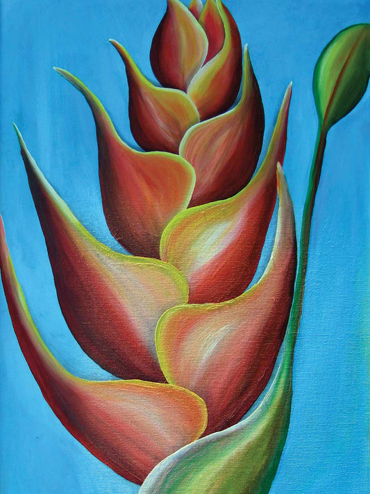 Heliconia