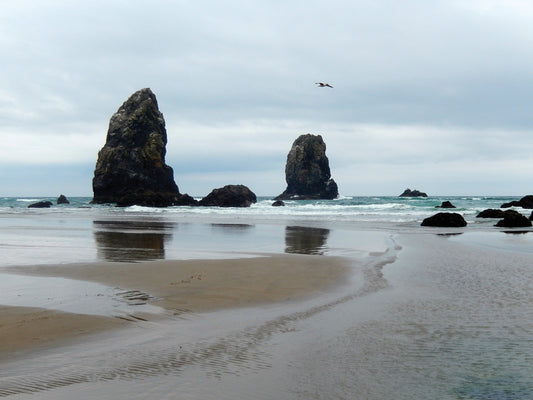 Cannon Beach