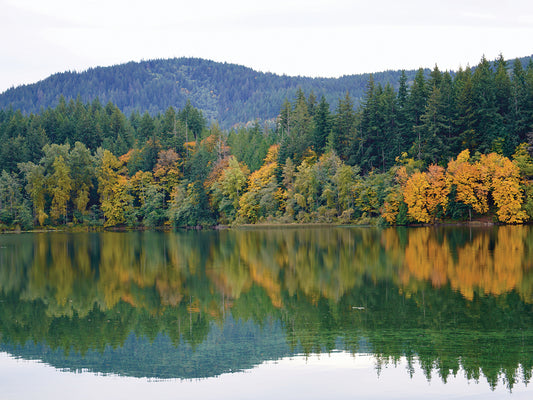 Fall Reflections