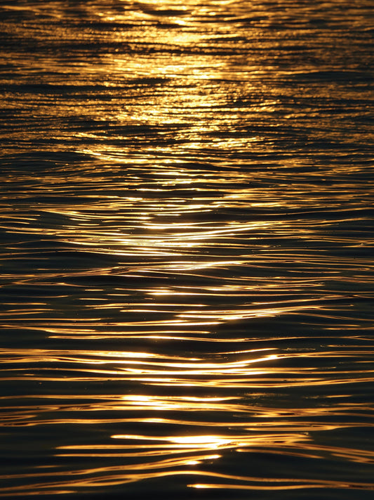 Gold on the Water 2