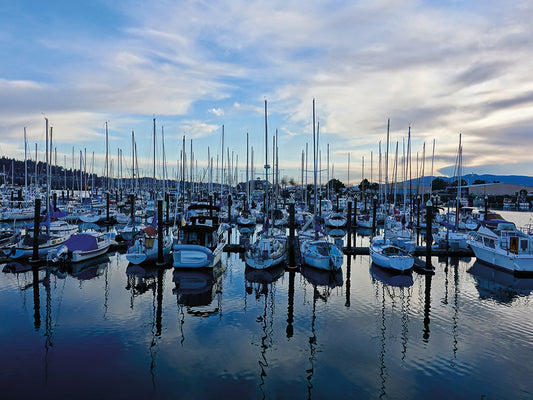 Harbor Twilight