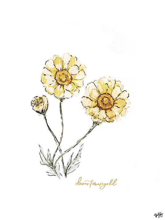 Desert Marigold