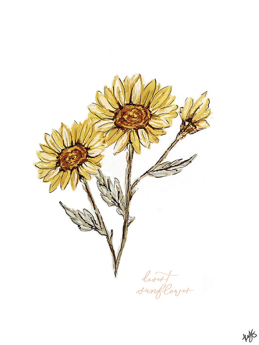 Desert Sunflower